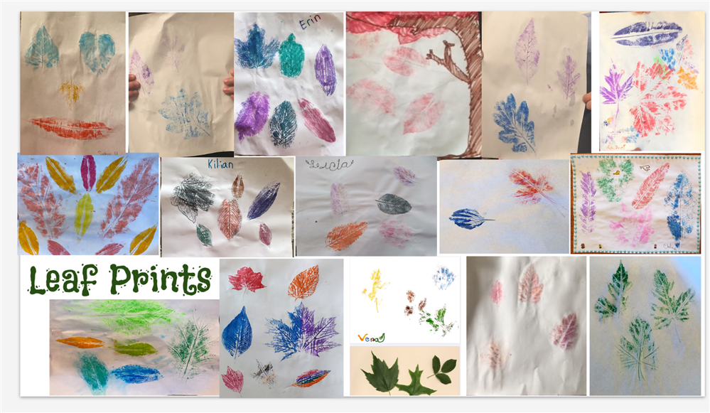 Leaf Prints BMS